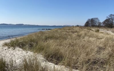 Møn Retreat Akvarelkursus med Ida Ferdinand